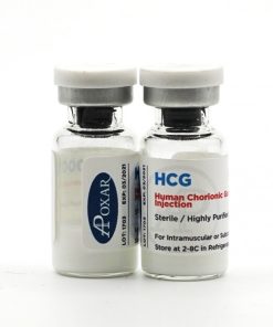 HCG - Gonadotropin 5000IU - Apoxar